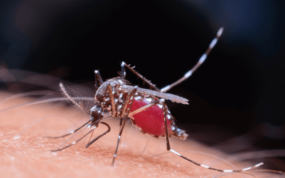 ICD-10 Code for Zika Virus