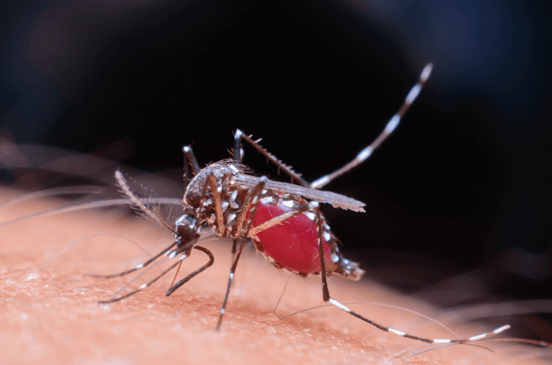 ICD-10 Code for Zika Virus