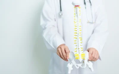 What are the Spinal Subluxation Codes for Chiropractic Care of the Cervical, Thoracic and Lumbar Region