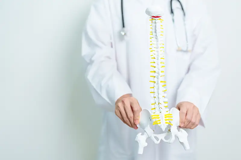 Spinal Subluxation Codes for Chiropractic Care of the Cervical, Thoracic and Lumbar Region What are the Spinal Subluxation Codes for Chiropractic Care of the Cervical, Thoracic and Lumbar Region
