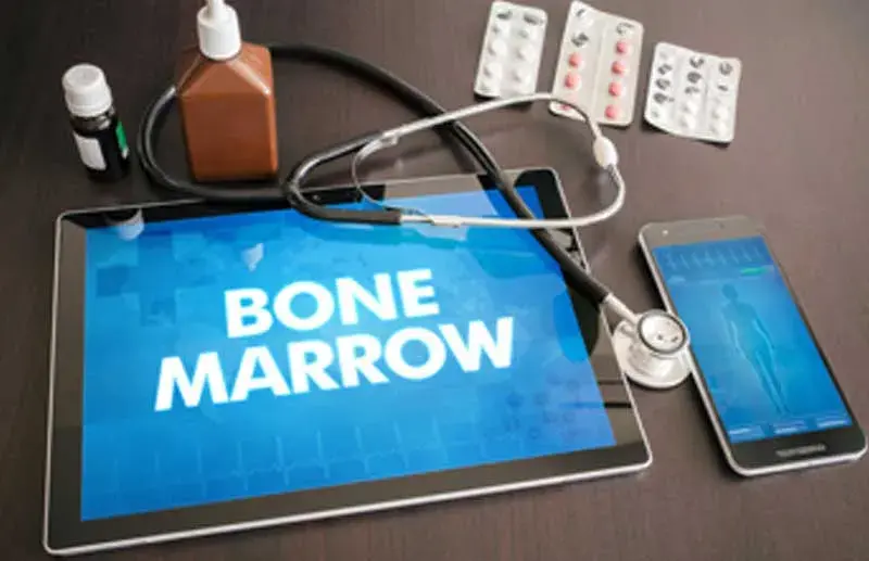 Bone Marrow Procedure Codes