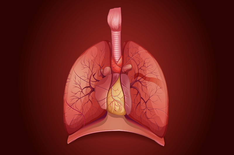 Diagnosing and Documenting Pneumonitis - An Overview