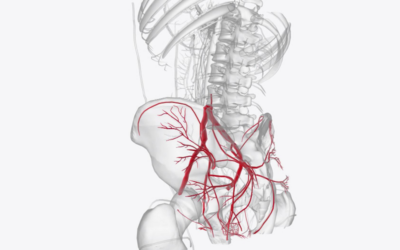 2018 CPT Coding Changes for Endovascular Repair of Abdominal Aorta and/or Iliac Arteries