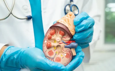 How to Code for Addison’s Disease Using ICD-10 Medical Codes