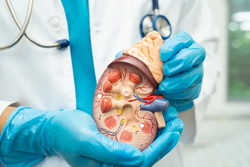 How to Code for Addison's Disease Using ICD-10 Medical Codes