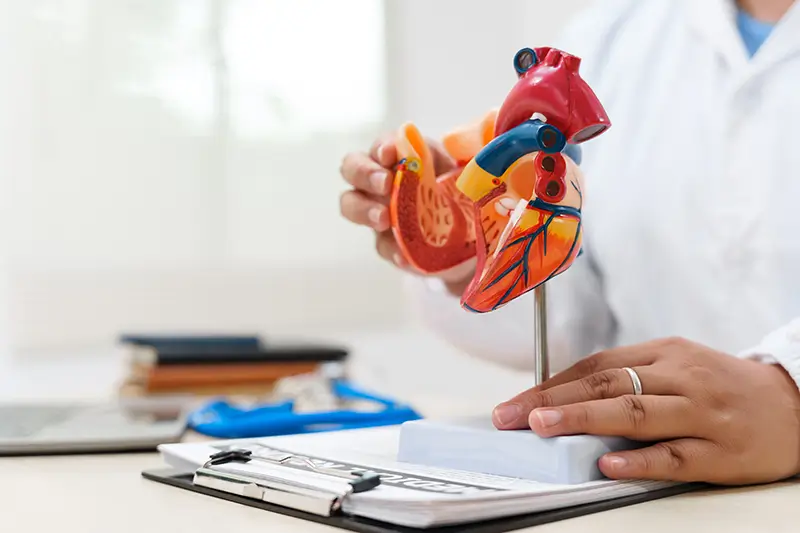 Coding Atrial Fibrillation Using Correct ICD-10 and CPT Codes