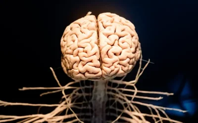 How to Document and Code for Progressive Supranuclear Palsy