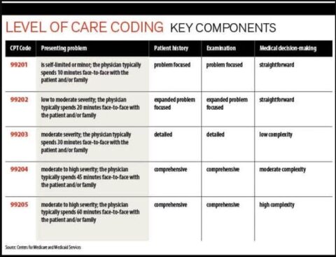 Meet E/M Documentation Requirements to Maximize Revenue