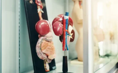 Abdominal Aortic Aneurysm Repair – Report the Correct CPT Codes