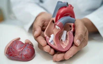 CMS Revises Rules for Transcatheter Aortic Valve Replacement (TAVR)