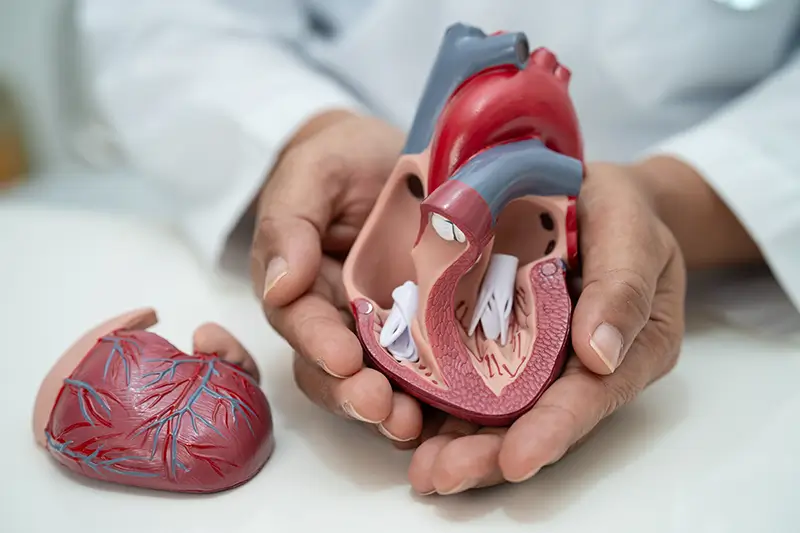 CMS Revises Rules for Transcatheter Aortic Valve Replacement (TAVR)