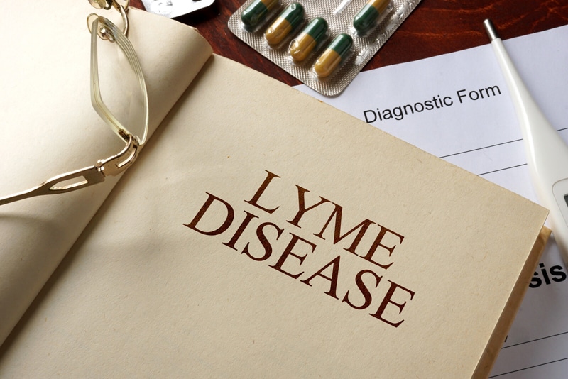 Lyme Disease Documentation and Coding