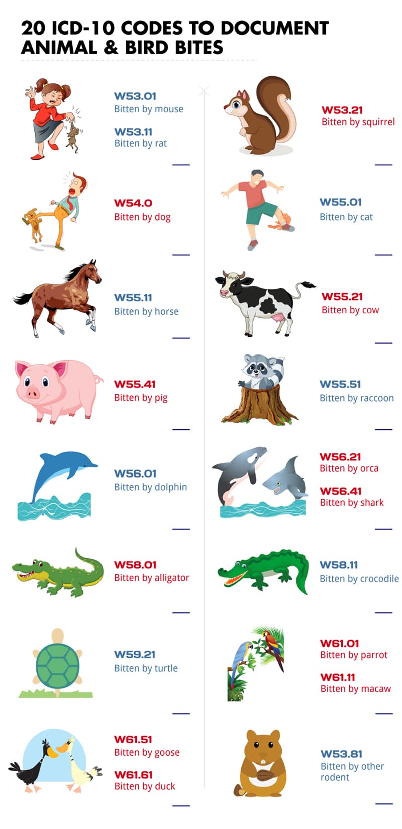 Twenty ICD-10 Codes to Document Animal and Bird Bites