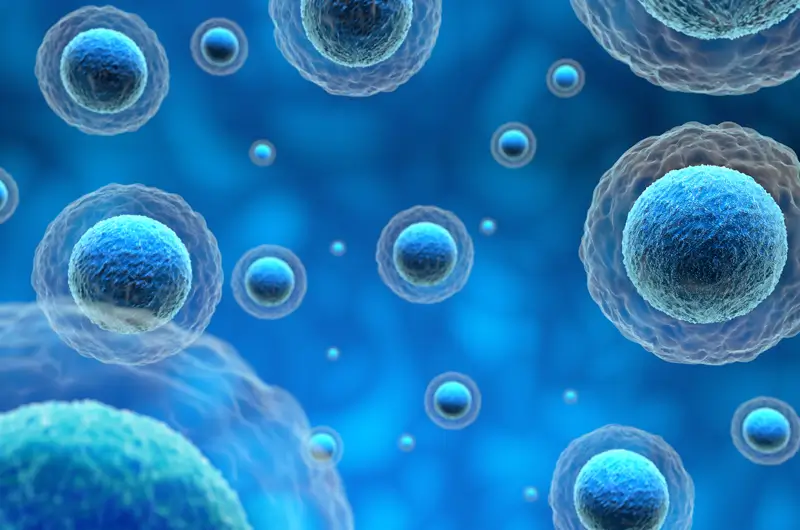 Medicare Now Provides Coverage for CAR T-cell Therapy