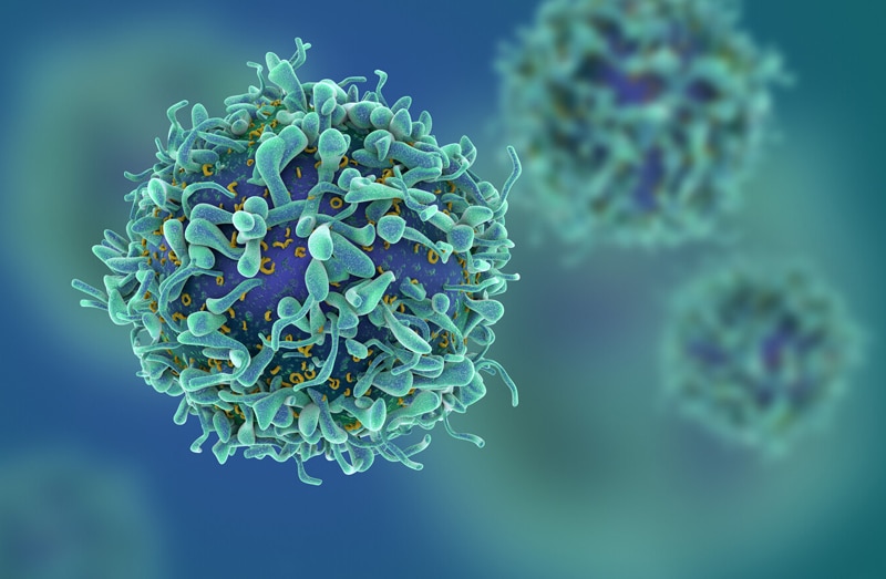 Medicare Now Provides Coverage for CAR T-cell Therapy