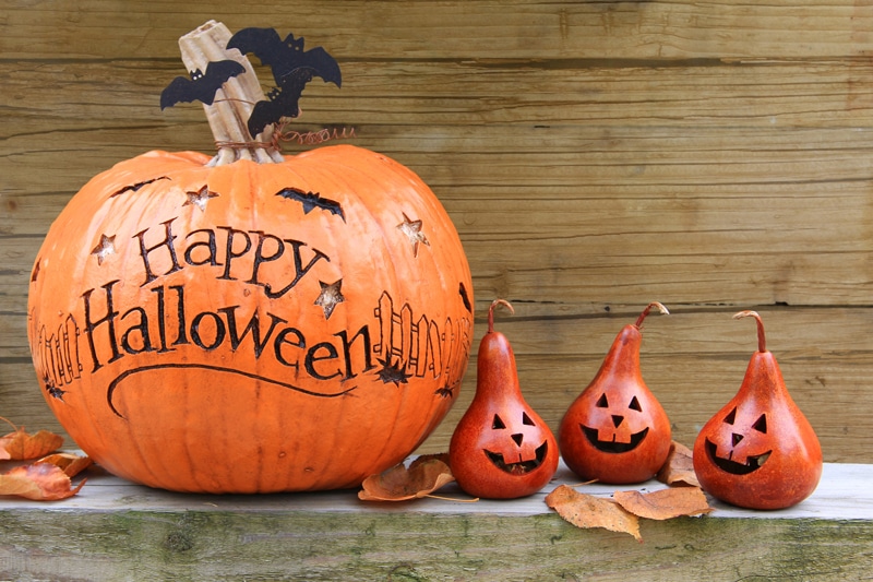 Top Halloween Themed