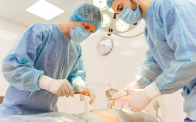 Reporting Hernia Repair and Complex Abdominal Wall Reconstruction