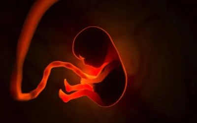 Billing and Coding In Vitro Fertilization Treatment