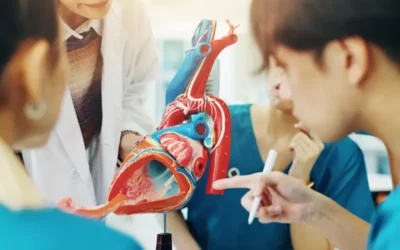 Coding Mitral Valve Prolapse – A Common Heart Valve Abnormality