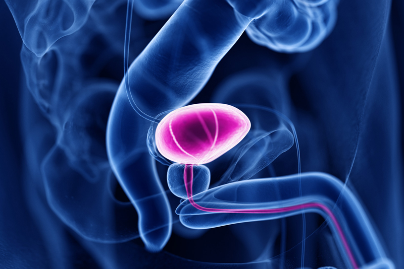 Coding Hematuria