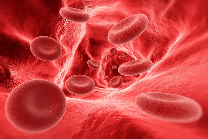 Coding Pancytopenia – Know the ICD-10 Codes