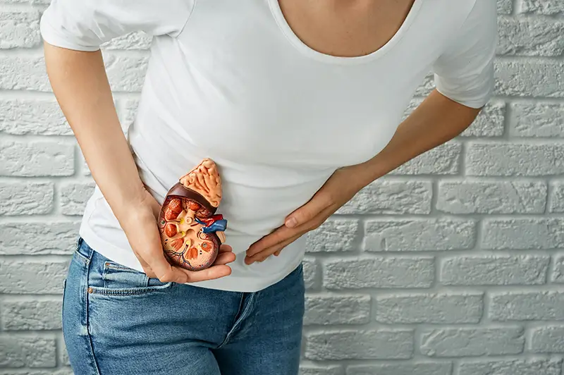 Documenting Pyelonephritis – A Common Urinary Tract Infection