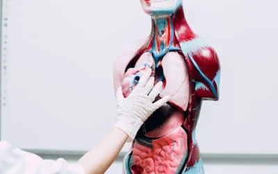 Notable Cardiovascular System CPT Code Changes in 2021