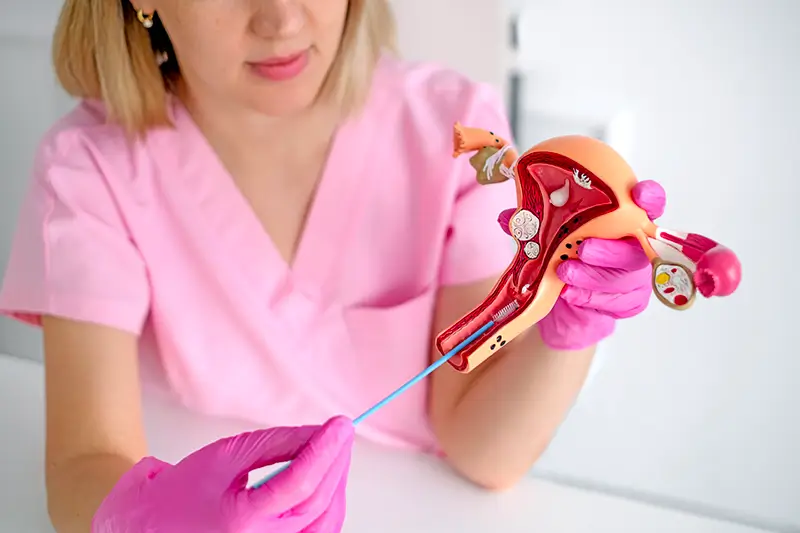 Reporting Endometrial Ablation – A Treatment Procedure for Abnormal Uterine Bleeding