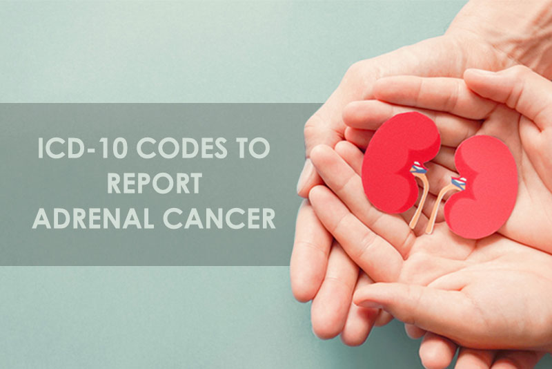 ICD-10 Codes to Report Adrenal Cancer