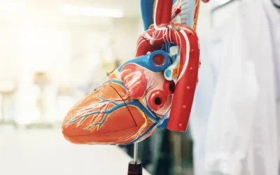 Medical Coding For Aortic Valve Diseases