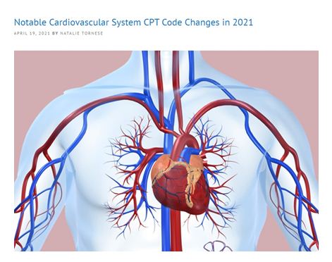 notable cardiovascular system
