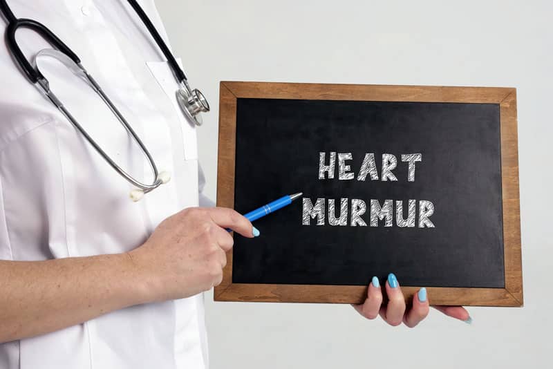 Heart Murmur