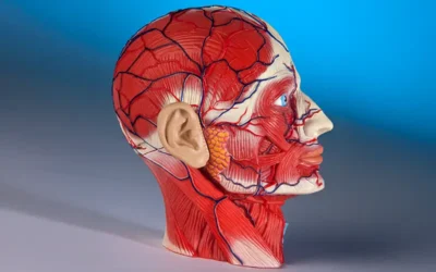Top 5 Cerebrovascular Diseases and Their Related ICD-10 Codes