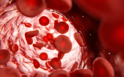 What Are the ICD-10 Codes for Hyperlipidemia?