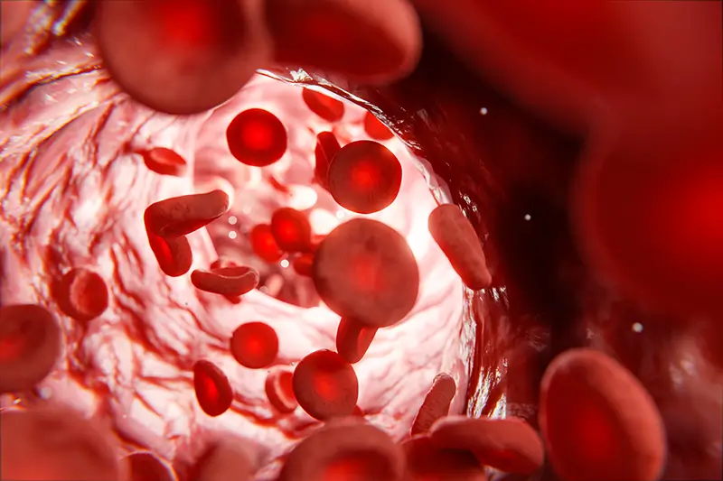 What Are the ICD-10 Codes for Hyperlipidemia?