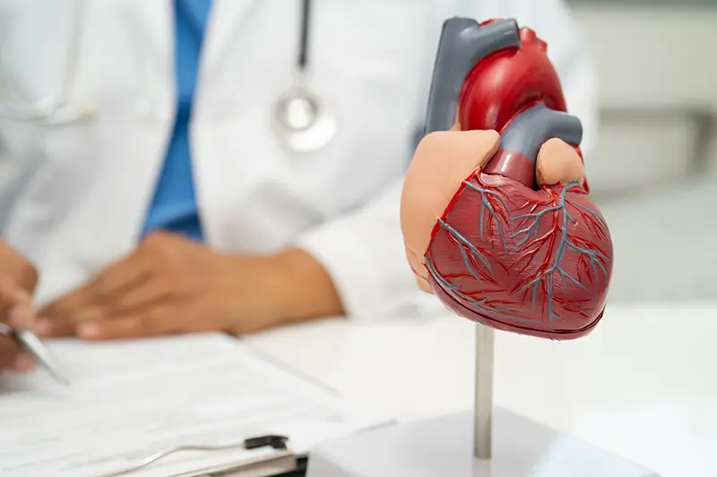 Cardiology Verifications of Insurance Coverage- Key Points