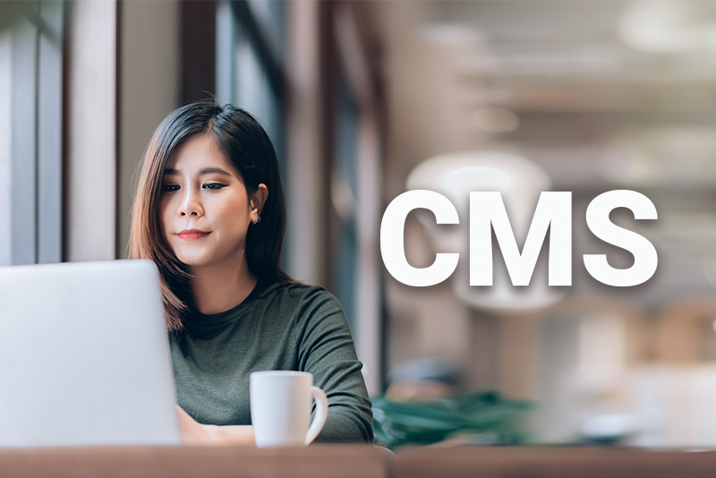 CMS Updates