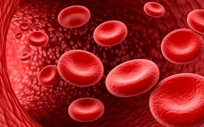 Coding Immune Thrombocytopenia (ITP) – A Common Blood Disorder