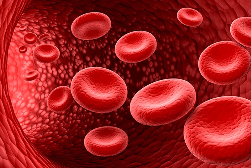 Coding Immune Thrombocytopenia
