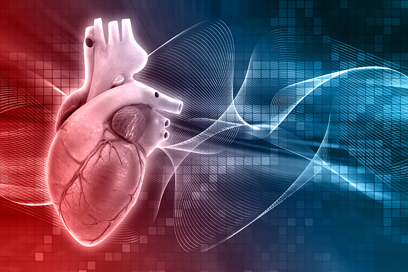 CPT Codes for Cardiac Catheterization