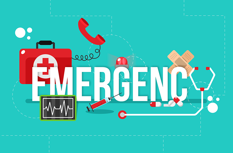Emergency Department