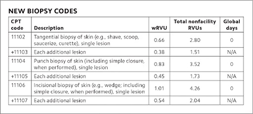 New Biopsy Codes