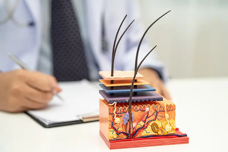 2023 Integumentary System CPT Code Changes and Guidelines