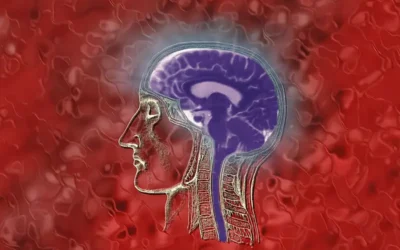 How to Bill and Code for Meningitis