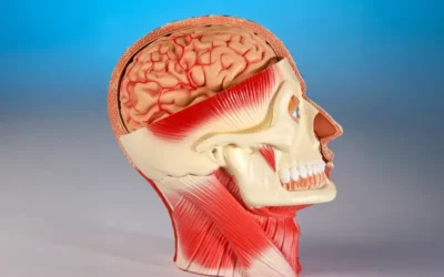 How Do You Code and Bill for Craniotomy?