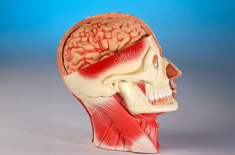 How Do You Code and Bill for Craniotomy?