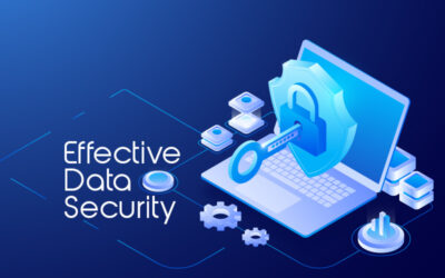 Data Security Measures in Insurance Verification Systems