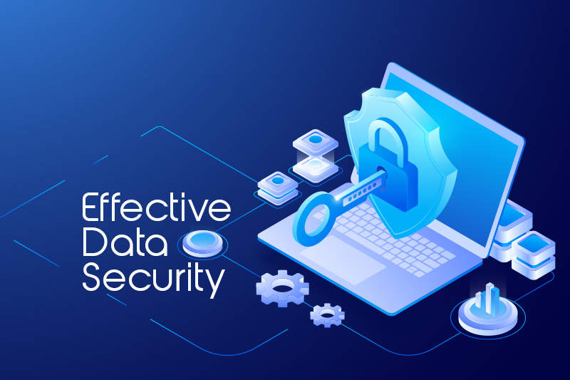 Data Security Measures in Insurance Verification Systems