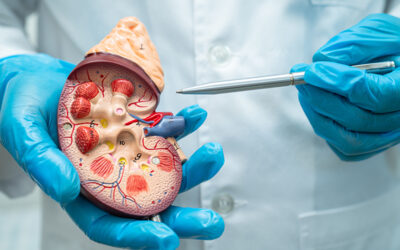 Medical Coding for Glomerulonephritis – A Chronic Kidney Related Disease