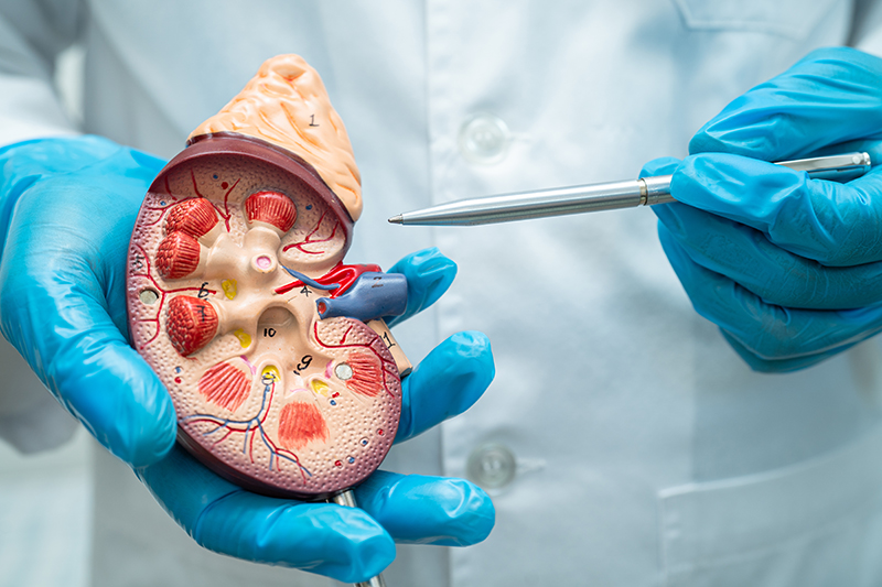 Bill and Code for Glomerulonephritis